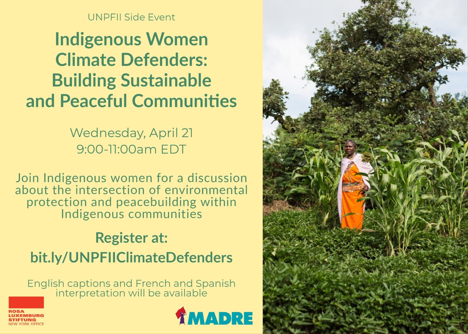 Indigenous Women Climate Defenders: Building Sustainable And Peaceful ...