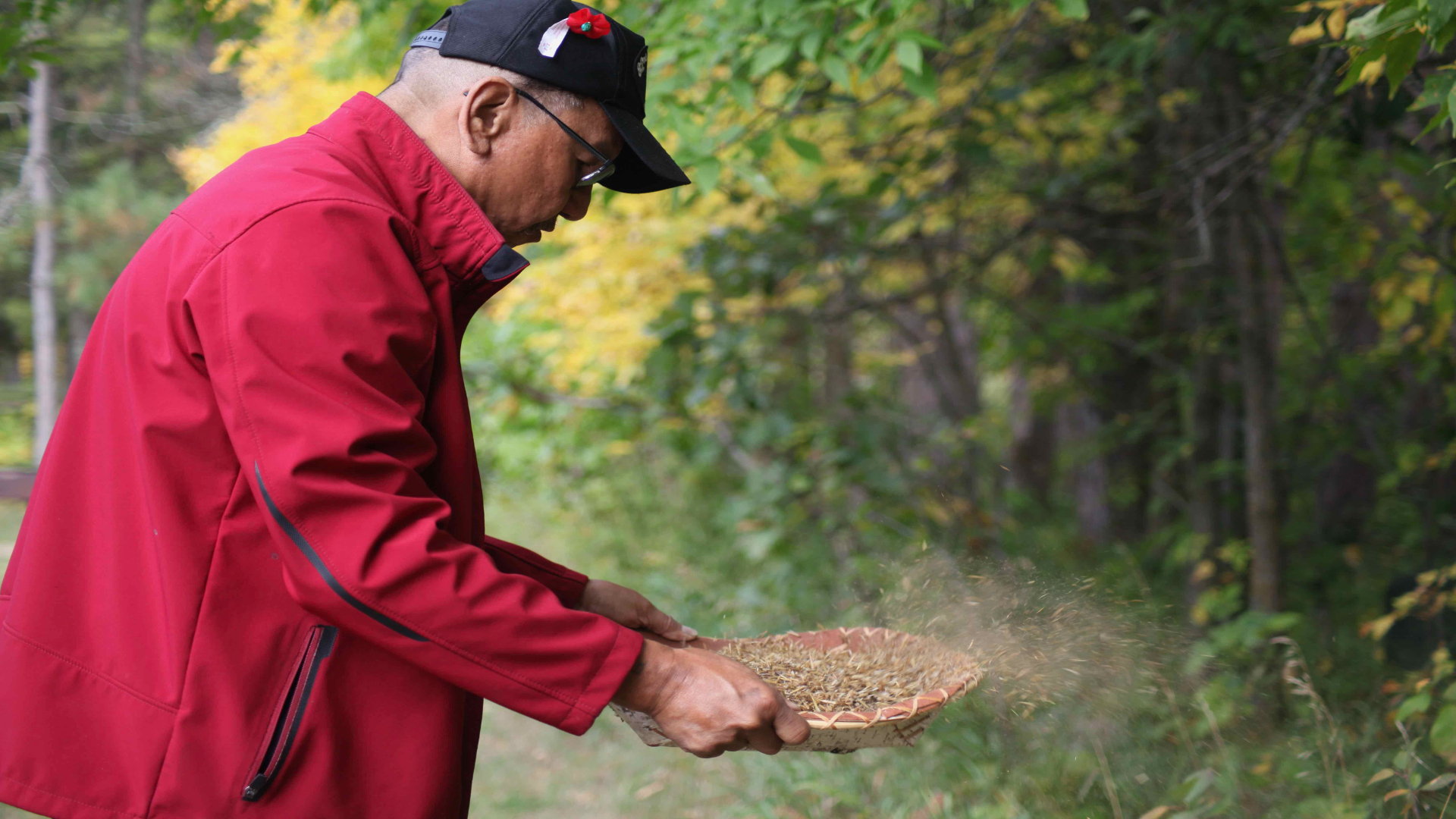 Harvesting Is An Act Of Indigenous Food Sovereignty | Indigenous ...